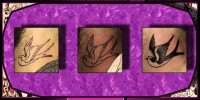 /album/terminato-oggi1/tattoo-roby-jpg/